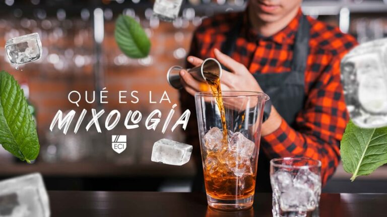 Qu Es La Mixolog A Eci Guadalajara