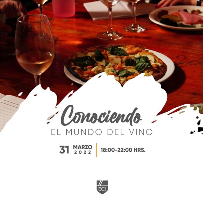 curso conociendo el mundo del vino