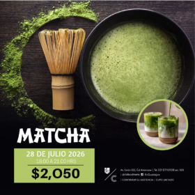Curso Matcha
