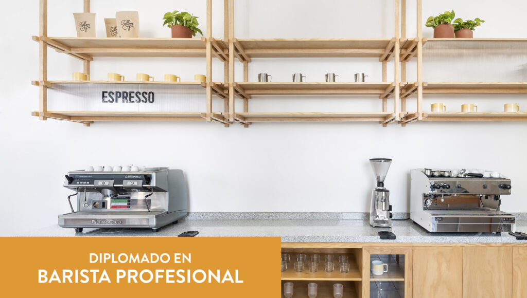 Diplomado En Barista Profesional | ECI Guadalajara