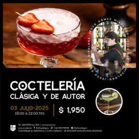 Curso de Coctelería Clásica y de Autor