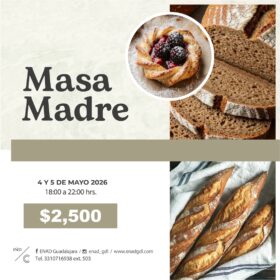 Curso Masa Madre