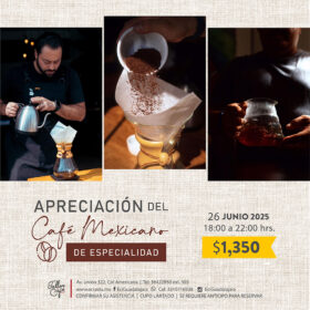 Curso Apreciación del Café Mexicano de Especialidad