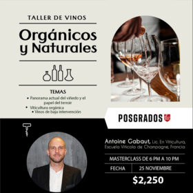 Taller de Vinos Orgánicos y Naturales