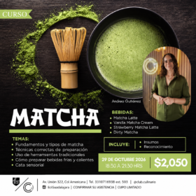 Curso Matcha