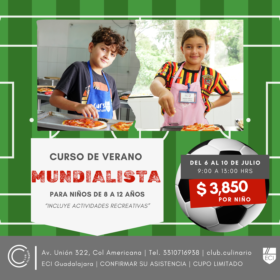 Curso de verano mundialista