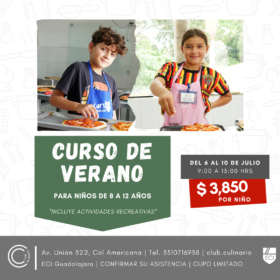 Curso de verano
