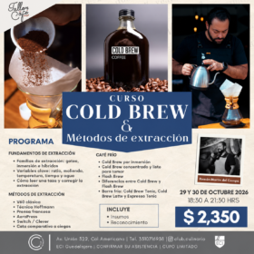Curso Cold Brew